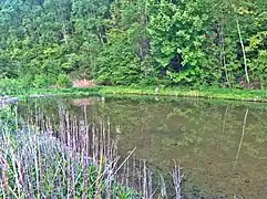 Teich in Grube 7