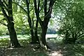 Westpark