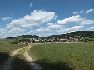Grünbach von Südwesten