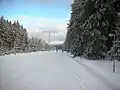 Beleuchtete Loipe zwischen Grünbach und Muldenberg, im Hintergrund die Skibrücke