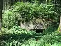 Infanteriebunker Gschwend&nbsp;2 A&nbsp;7223