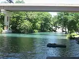 Guadalupe River unter der Interstate 35 in New Braunfels