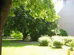 Ulica Dabrowskiego, ehemaliger Standort der Synagoge
