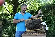Imker in Gurien mit Großwaben-Langstroth-Beute