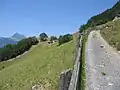 Guscha vom Weg aus gesehen mit Alvier im Hintergrund
