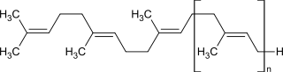 Chemische Struktur von Guttapercha