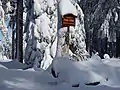 Gipfelschild: Standort Platte 946 m höchster Berg im Steinwald