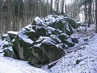 Granodioritfelsburg (Bügeleisengruppe) am Wald-Erlenbacher Hang des Höhnberges (375&nbsp;m)
