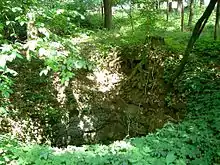 Einer der tieferen "Höllentrichter" bei Osterdorf