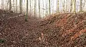 Der äußere Burggraben, rechts der äußere Wall