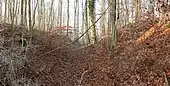 Der innere Burggraben, rechts der innere Wall