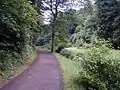 Weg im Tal