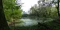 Der Schlosspark