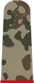 Kanonier oder ehemals Panzerkanonier(Feldanzug)