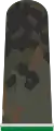 Feldanzug Panzergrenadier (Offiziersanwärter) Panzergrenadiertruppe (keine Aufschiebeschlaufen)