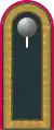 a Dunkel­graue Schulter­klappe für Heeres­uniform­träger (hier: Stabs­unter­offi­zier Panzer­truppe)