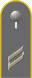 Dienstgradabzeichen auf der Schulterklappe der Jacke des Dienstanzuges für Heeresuniformträger der Heeresaufklärungstruppe.
