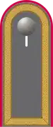 Dienstgradabzeichen auf der Schulterklappe der Jacke des Dienstanzuges für Heeresuniformträger der Panzertruppe.