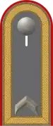 Dienstgradabzeichen eines Feldwebels der Artillerietruppe auf Schulterklappe der Jacke des Dienstanzuges für Heeresuniformträger