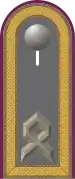 Dienstgradabzeichen auf der Schulterklappe der Jacke des Dienstanzuges für Heeresuniformträger der ABC-Abwehrtruppe.