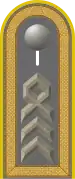 Dienstgradabzeichen eines Oberstabsfeldwebels der Heeresaufklärungstruppe auf Schulterklappe der Jacke des Dienstanzuges für Heeresuniformträger
