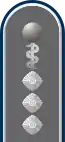 Dienstgradabzeichen auf der Schulterklappe der Jacke des Dienstanzuges für Heeresuniformträger der Sanitätstruppe (Humanmedizin).