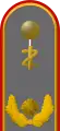 Schulterklappe Generalarzt (Dienstanzug Heeresuniformträger Zahnarzt)