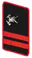 Hauptfeuerwehrmann (HFM)