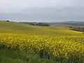 Landschaft bei Szápár