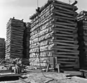 Zur Luft­trocknung gestapelte Holz­schwellen
