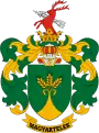 Wappen von Magyartelek