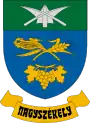 Wappen von Nagyszékely