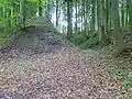Vorgelagerte Gräben
