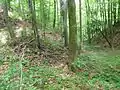 Grabenanlage neben dem Bauernhof Piesinger