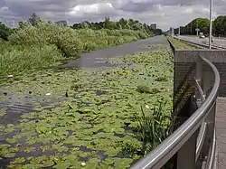 Reste der Haarlemmertrekvaart neben der N200, 2007