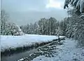 Hachinger Bach bei Potzham im Winter