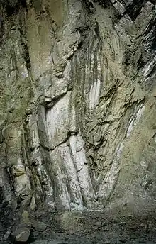 Spitzfalte im Steinbruch Hagen-Vorhalle