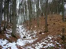 Der Hauptwall der Vorburg nach Norden