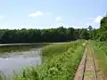 Gleise der Waldbahn am Fischteich