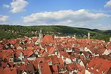 Blick vom Fährenpfortenturm auf die historische Altstadt
