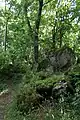 Der Gipfel
