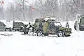 Wolf der norwegischen Armee
