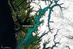 Algenblüte von E. huxleyi im Mai 2020 im Hardangerfjord, Norwegen