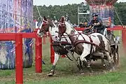 festes Geländehindernis