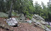 Harschenhöllenklippe, am Halberstädter Berg