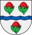 drei 2:1 gestellte Früchte des Haselstrauchs (Haselau)