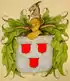 Wappen der Hays