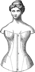 Schematische Zeichnung des Oberkörpers einer Frau mit einem von Roxey Ann Caplin entworfenen Korsett