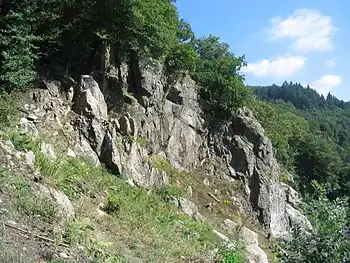 Durch Erosion des Neckars erschlossenes Grundgebirge: Granit-Klippe Russenstein am Haarlaß bei Heidelberg