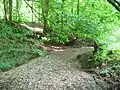Der ausgetrocknete Heidenbach im Oberlauf